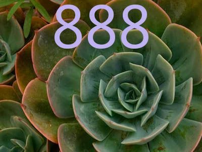 La signification mystique du nombre 888